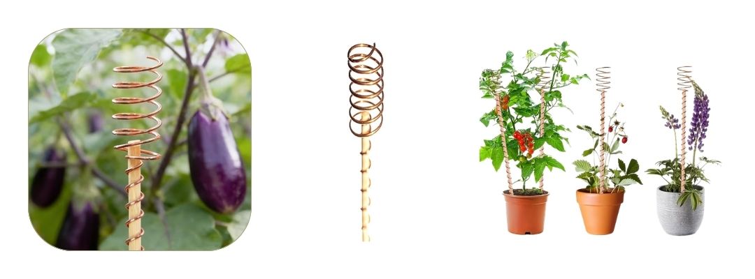 Estaca com Espiral de Cobre para Plantas M2